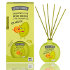 The Fruit Company Melon 40 ml