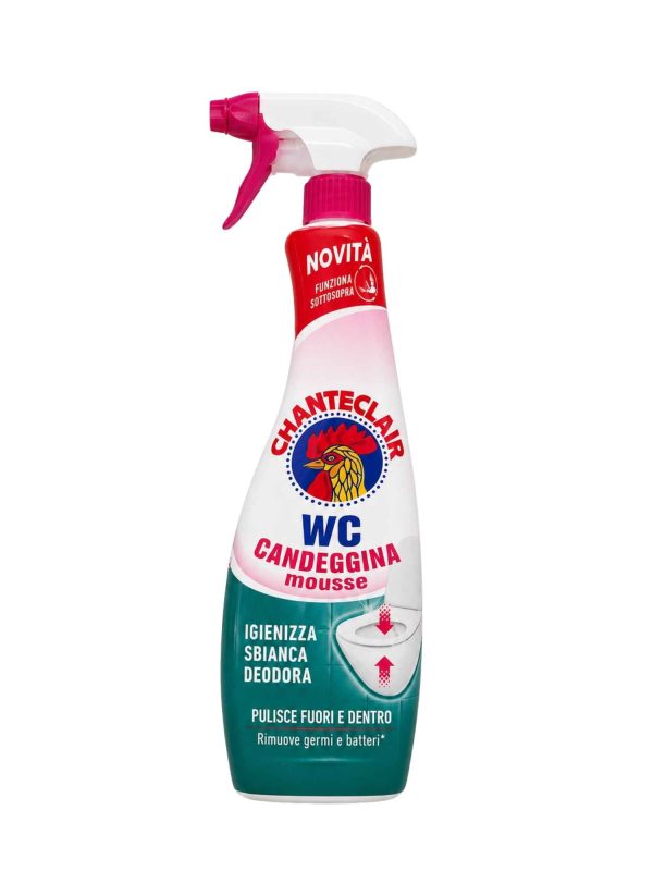 Chanteclair WC valiklis su balikliu 625 ml